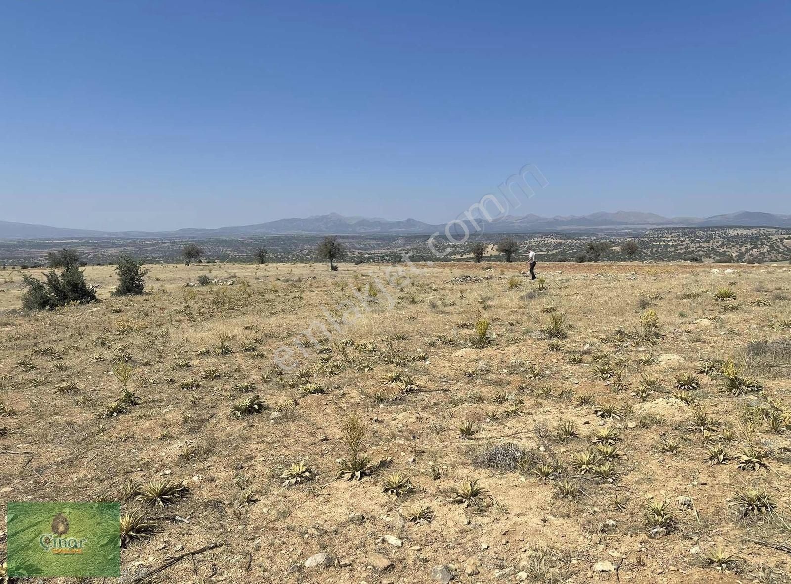 Karadigin De 2300mt Mustakıl Tek Tapulu Yolu Olan Kelepir Arazi - Görsel 2