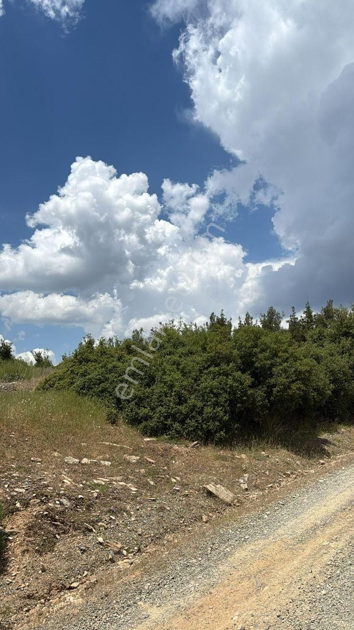 Boş Tarla Karacasuda 6.231 M2 - Görsel 7