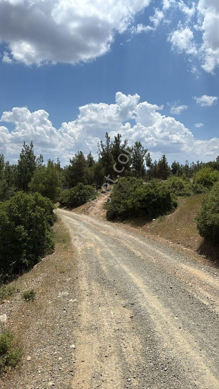 Boş Tarla Karacasuda 6.231 M2 - Görsel 2