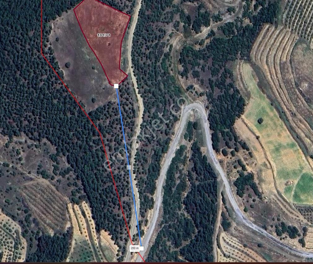 Araç Takasına Açık Tarla Karacasuda 6.231 M2