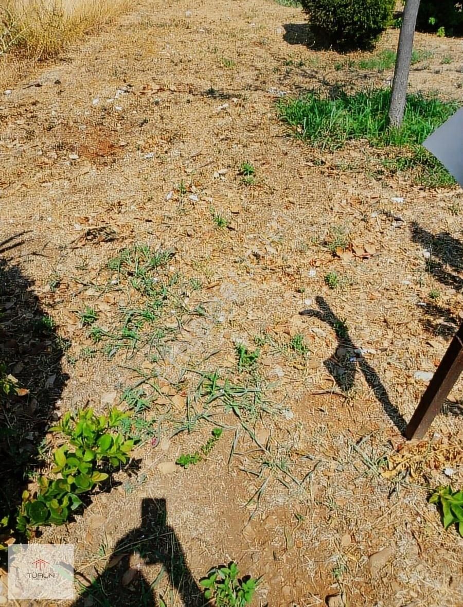 Seydikemer Girdev Yaylasıda Yatırımlık Tarla