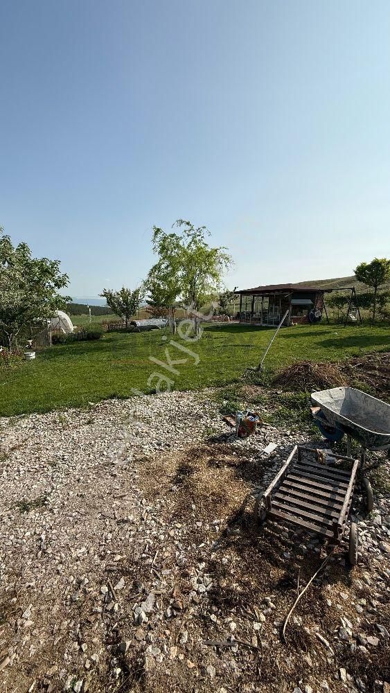 Güvenay - Paşaköyü Yolu Üzerinde – Bakımlı 650 M² Hobi Bahçesi