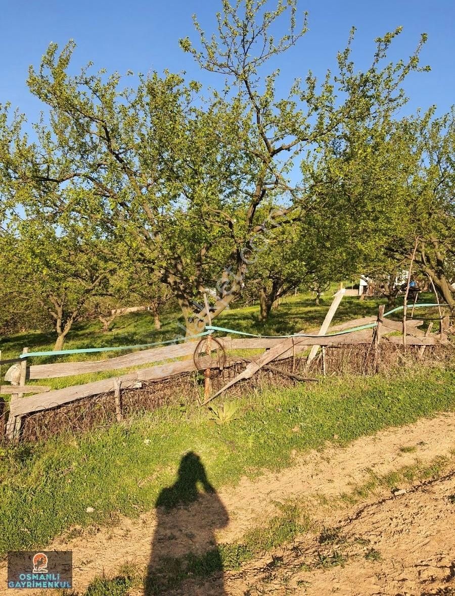 Kelepir Satılık Arazi - Görsel 26