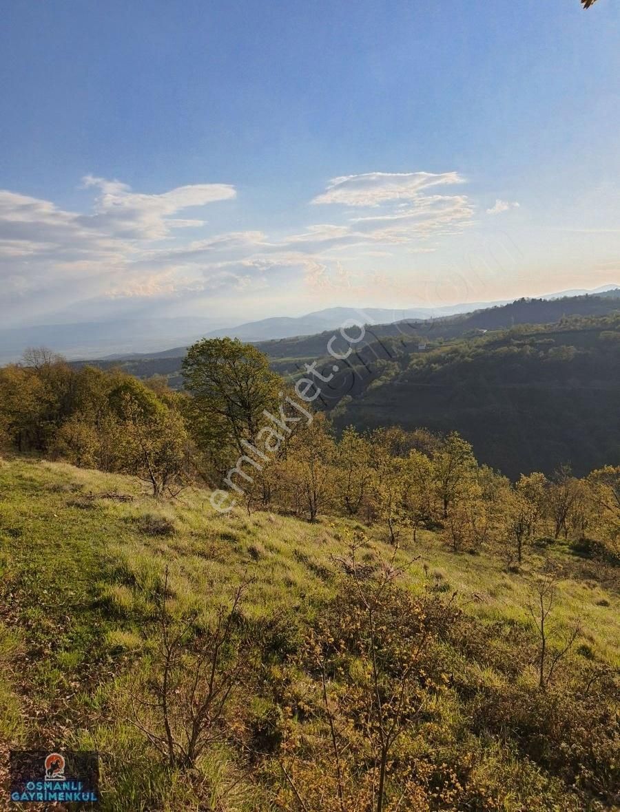 Kelepir Satılık Arazi - Görsel 12