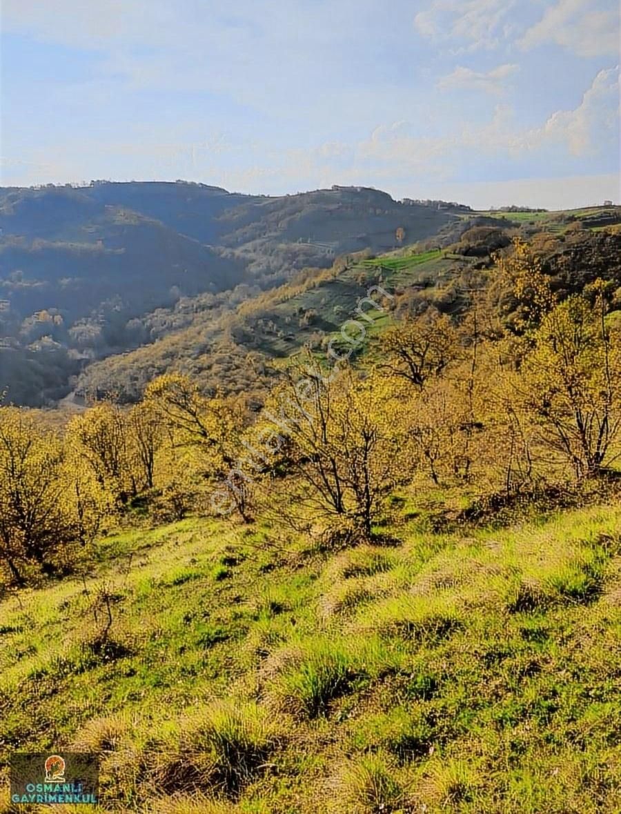 Kelepir Satılık Arazi - Görsel 5