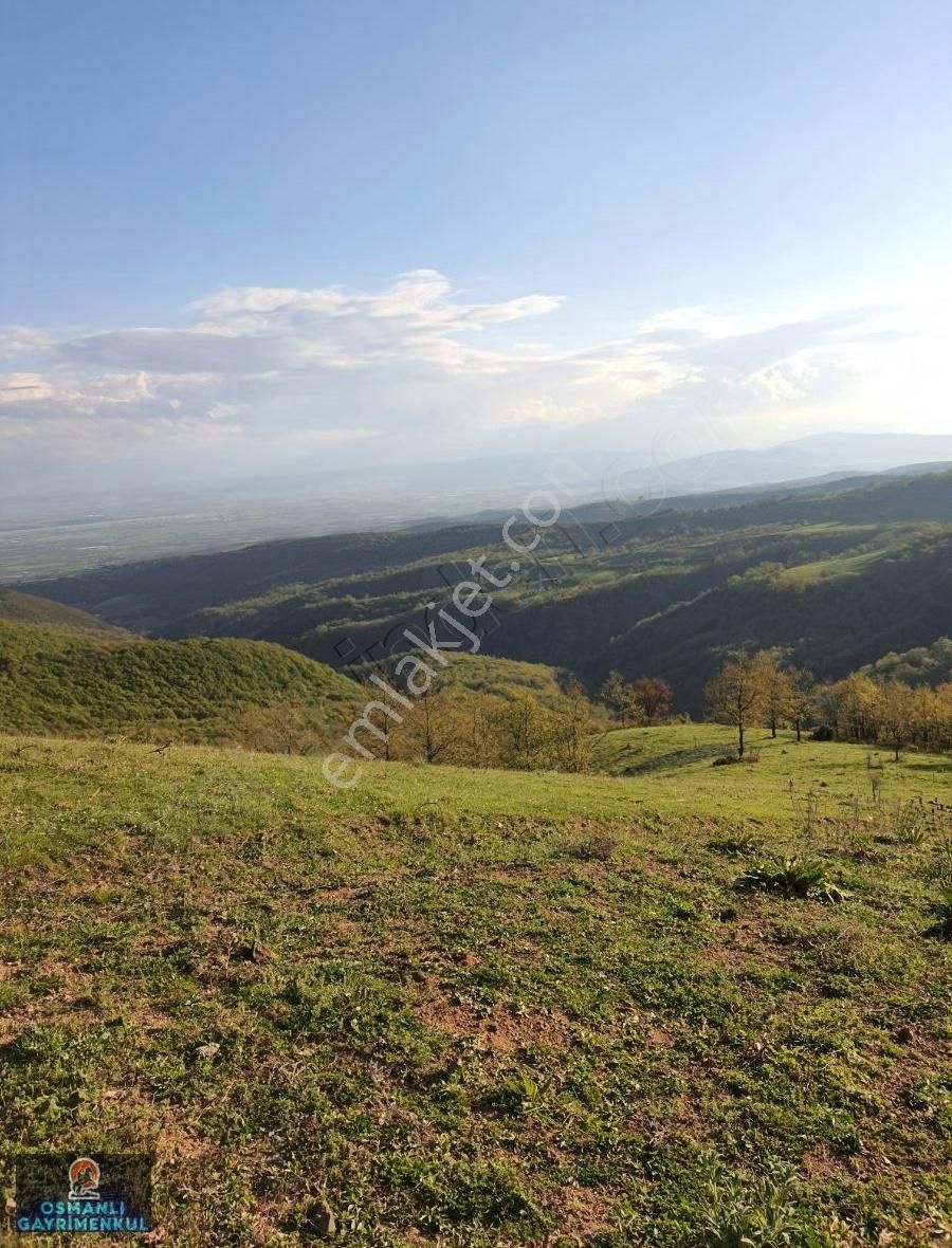 Kelepir Satılık Arazi - Görsel 8
