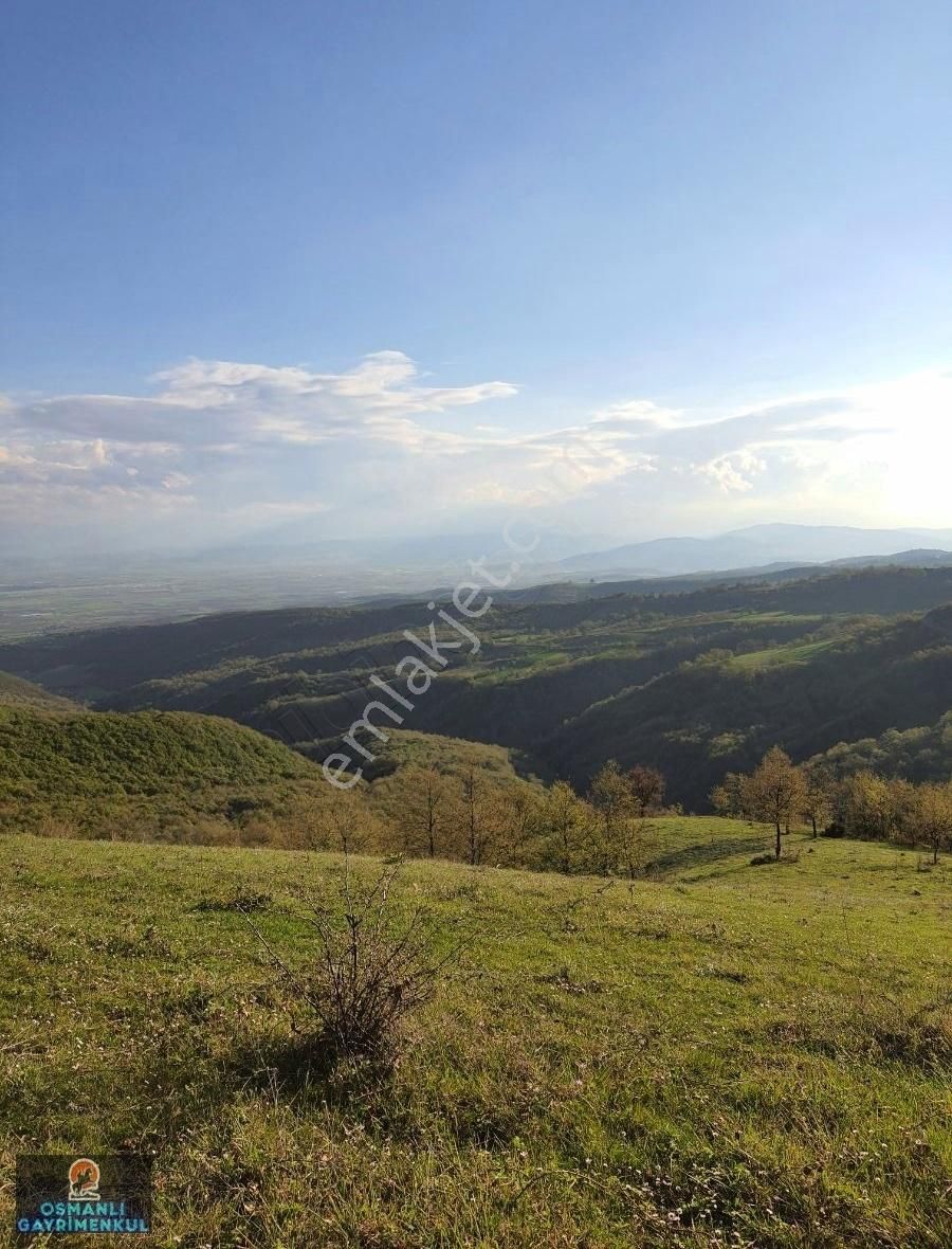 Kelepir Satılık Arazi - Görsel 15