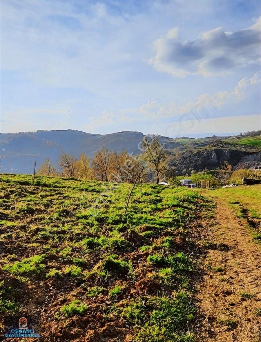 Kelepir Manzaralı Satılık Arazi - Görsel 4