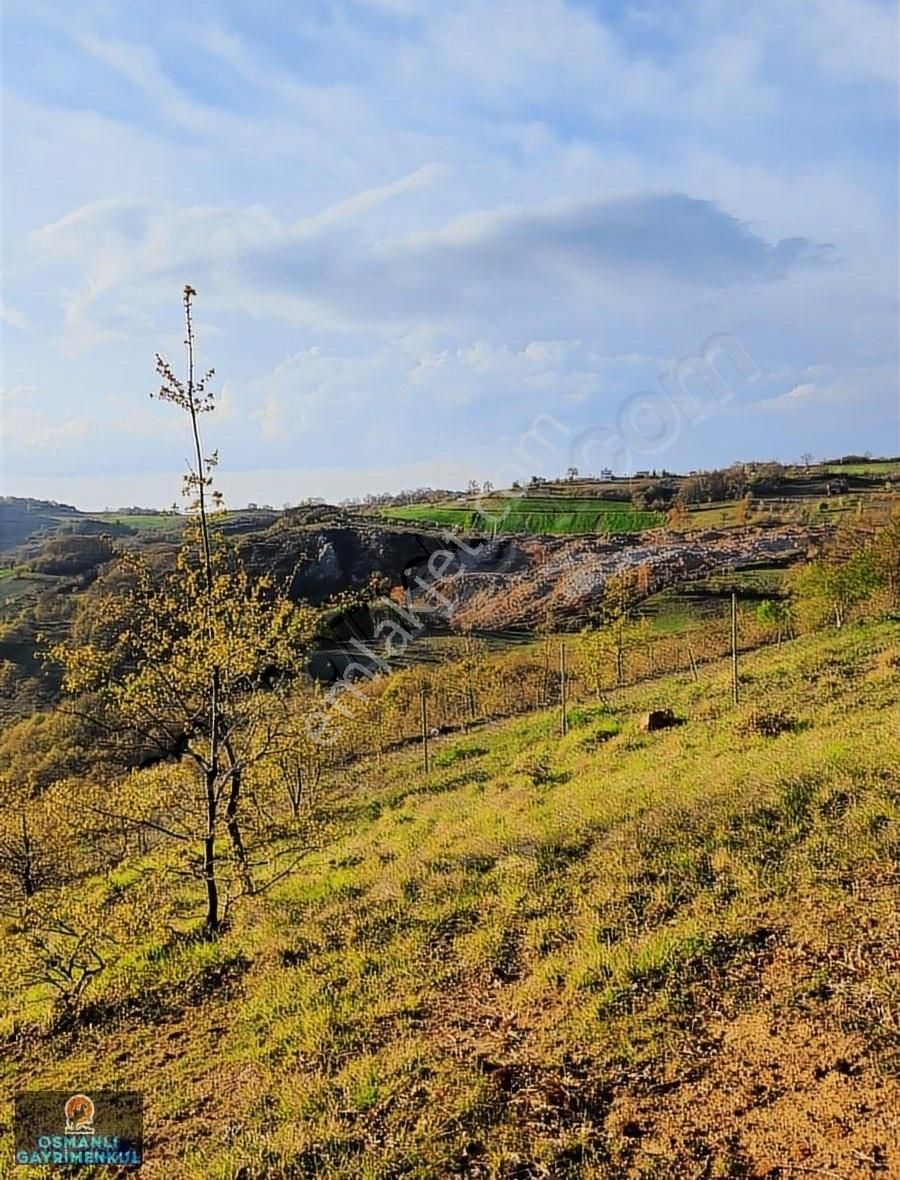 Kelepir Manzaralı Satılık Arazi - Görsel 24