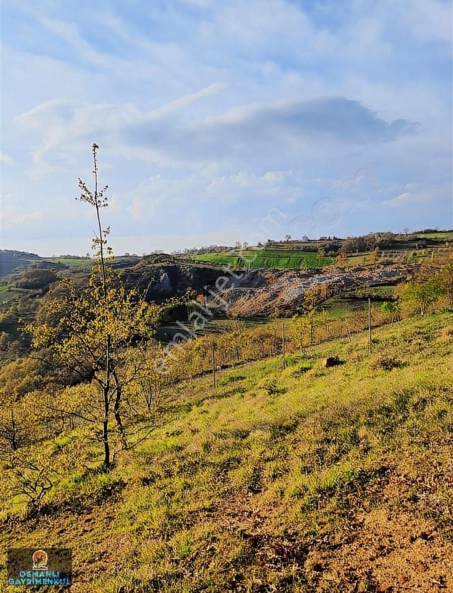 Kelepir Manzaralı Satılık Arazi - Görsel 11