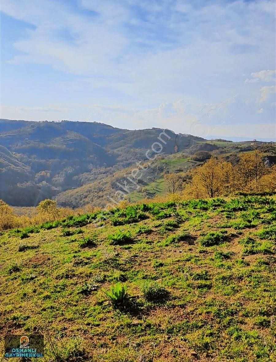 Kelepir Manzaralı Satılık Arazi - Görsel 16