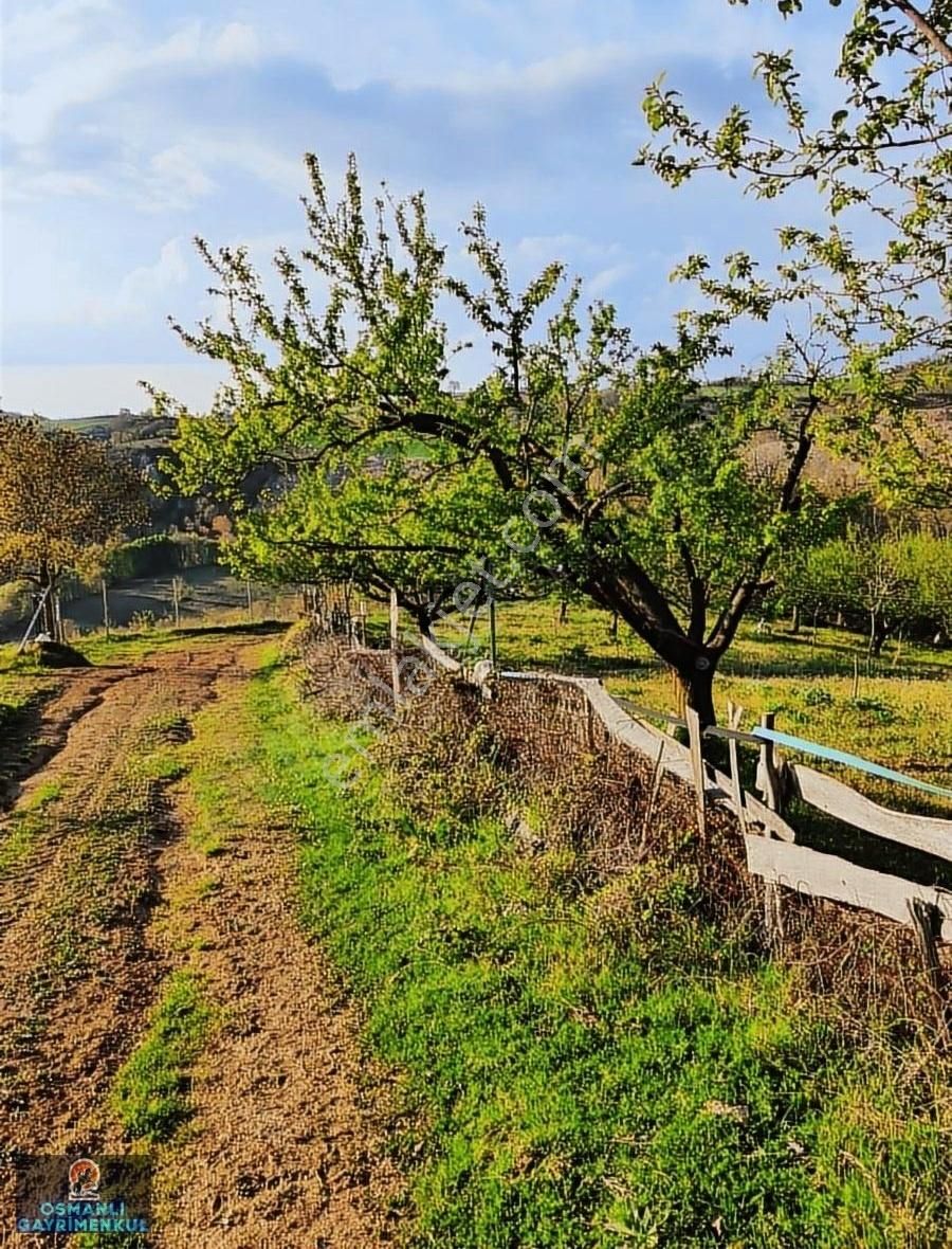 Kelepir Manzaralı Satılık Arazi - Görsel 23