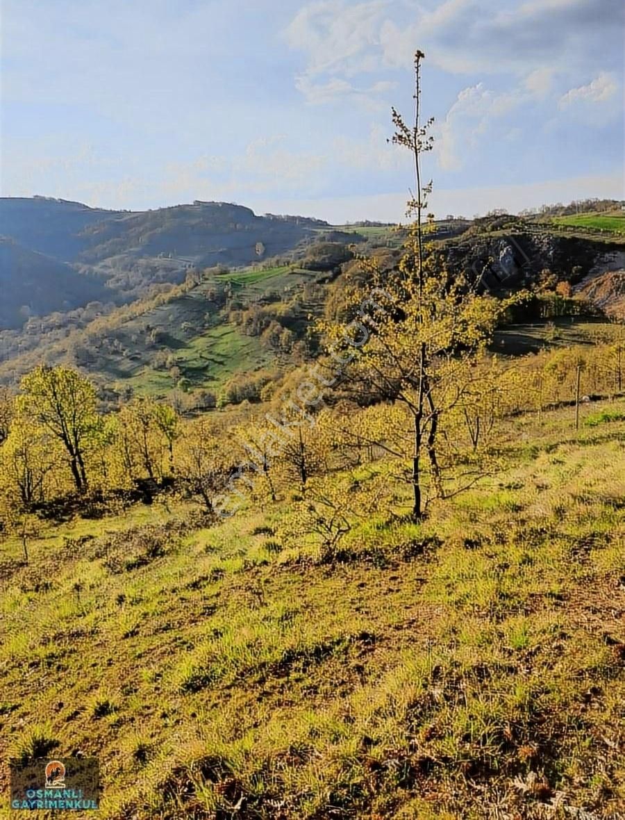 Kelepir Manzaralı Satılık Arazi - Görsel 3