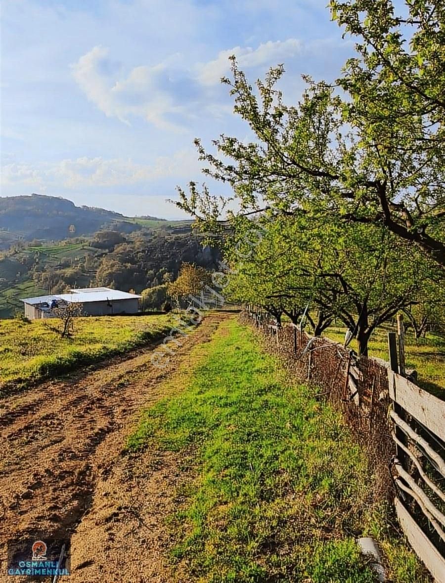Kelepir Manzaralı Satılık Arazi - Görsel 10