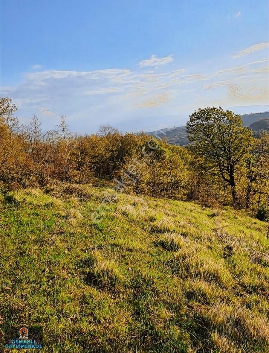 Kelepir Manzaralı Satılık Arazi - Görsel 8