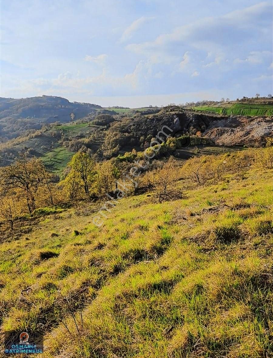 Hesaplı Satılık Arazi - Görsel 2