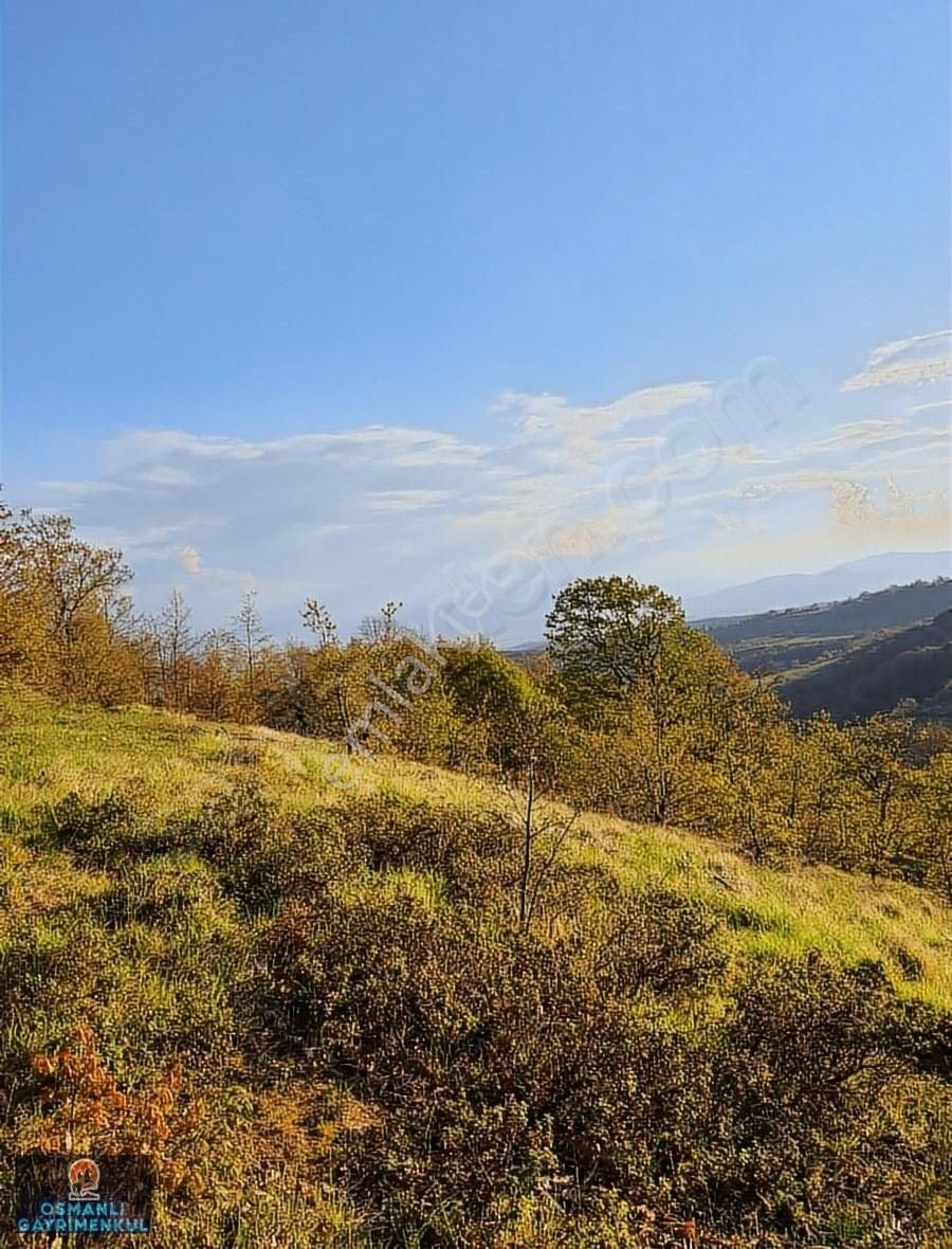 Hesaplı Satılık Arazi - Görsel 13