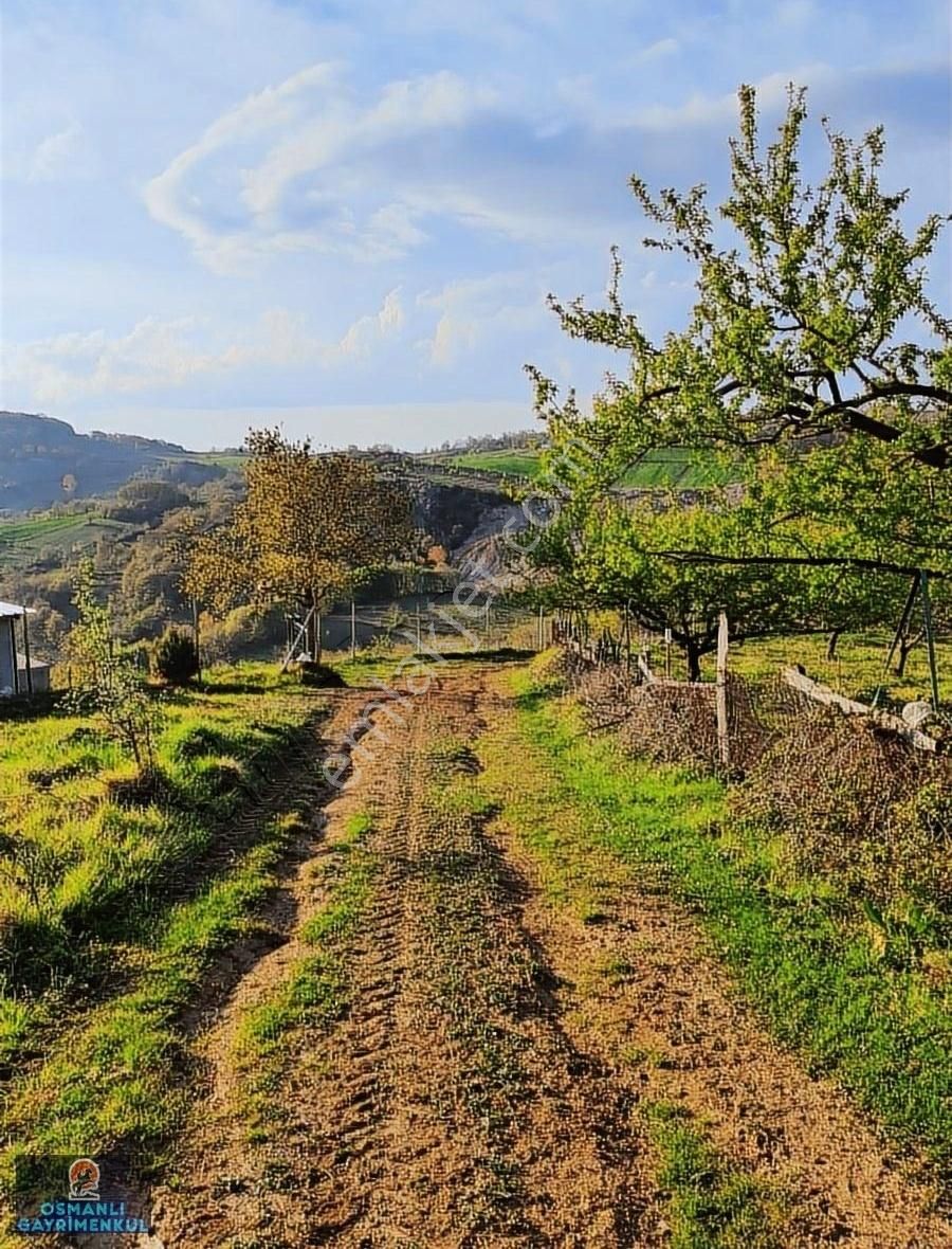 Hesaplı Satılık Arazi - Görsel 18