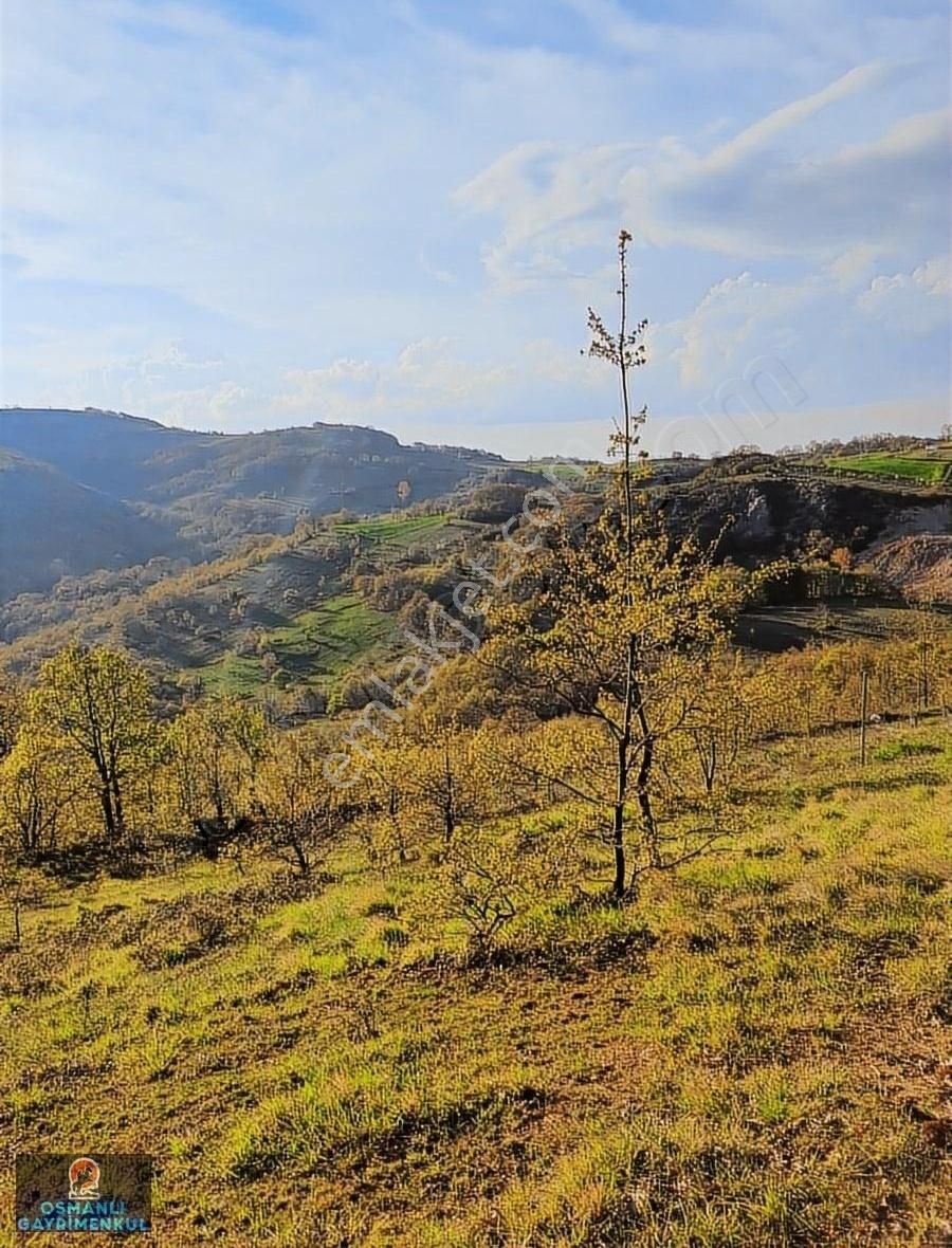 Hesaplı Satılık Arazi - Görsel 9