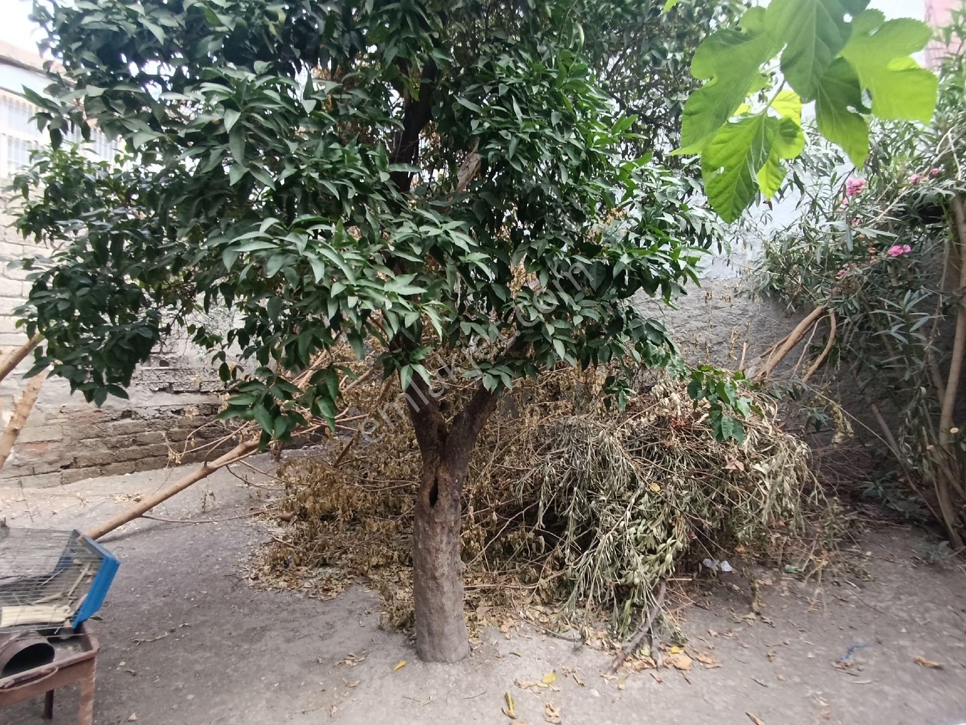 Gülpınarda 2 Katlı Müstakil Ev Uygun Fiyat - Görsel 4