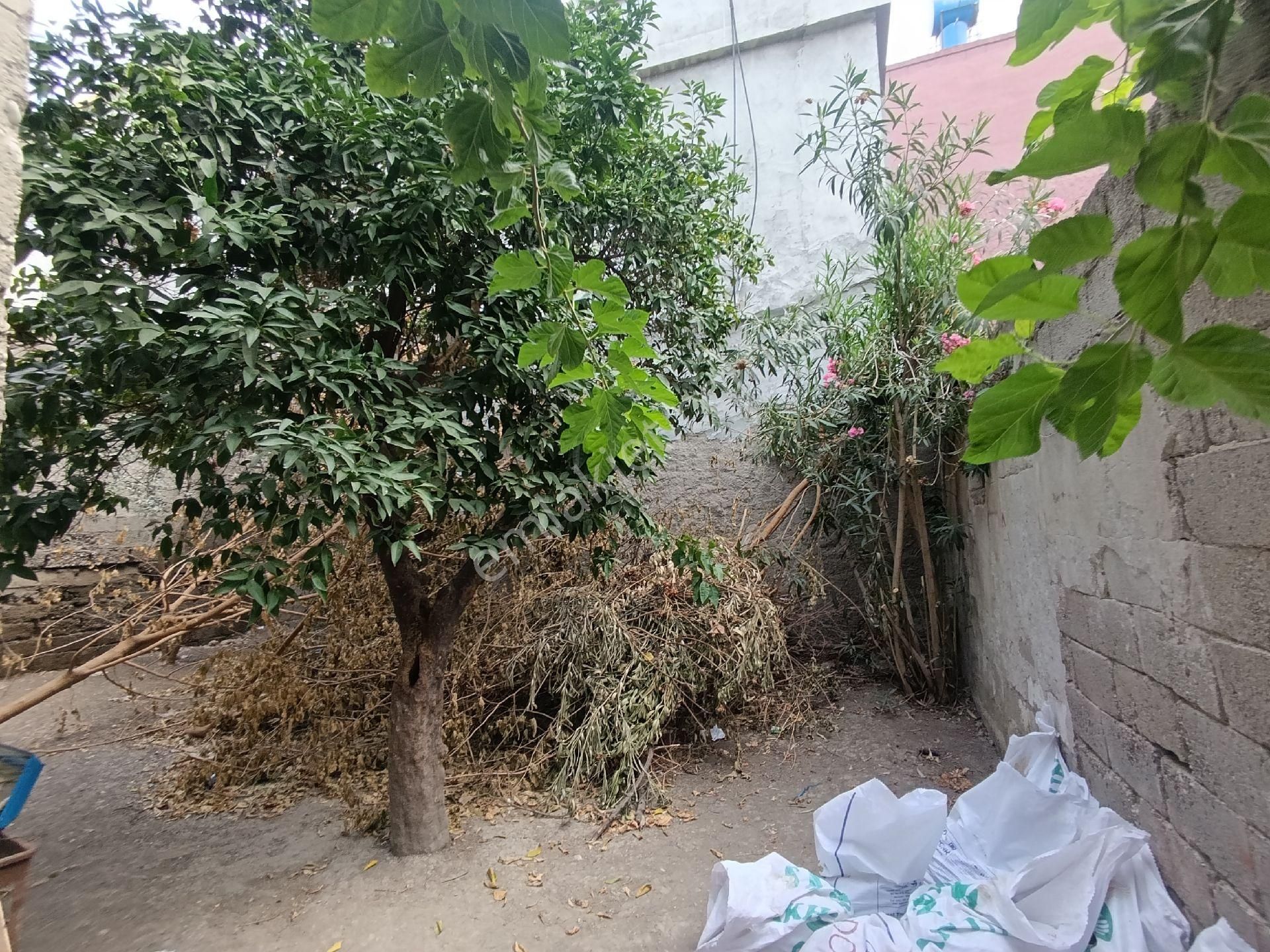 Gülpınarda 2 Katlı Müstakil Ev Uygun Fiyat - Görsel 5