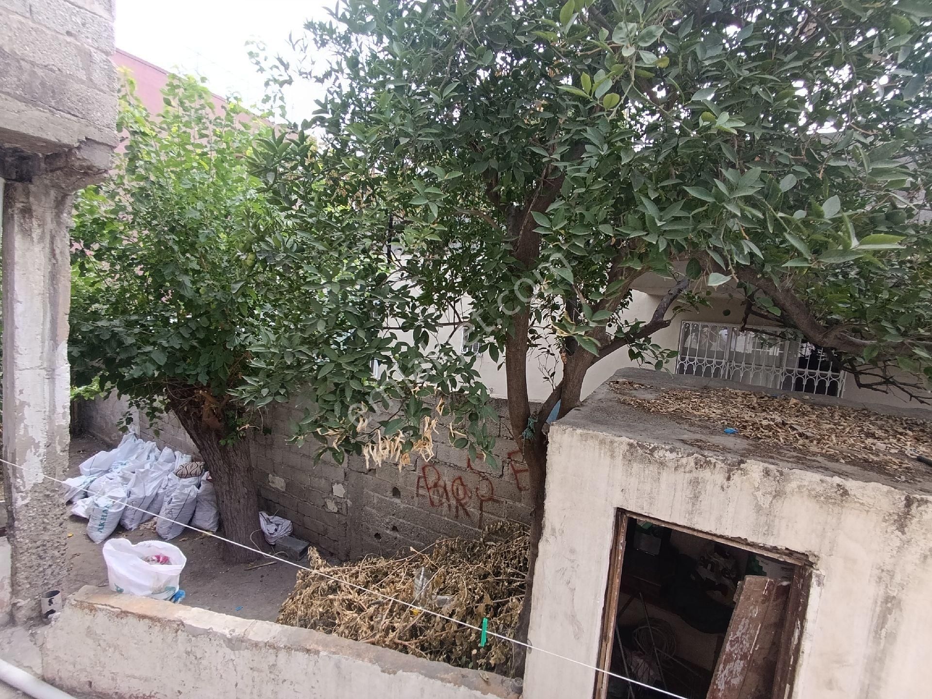 Gülpınarda 2 Katlı Müstakil Ev Uygun Fiyat - Görsel 15