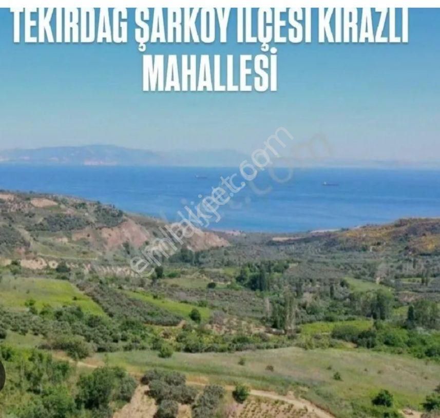 Tekirdağ Şarköy İlçesi Kirazlı Mahallesinde 6.535.97 M2 Deniz Manzaralı Satılık Tarla