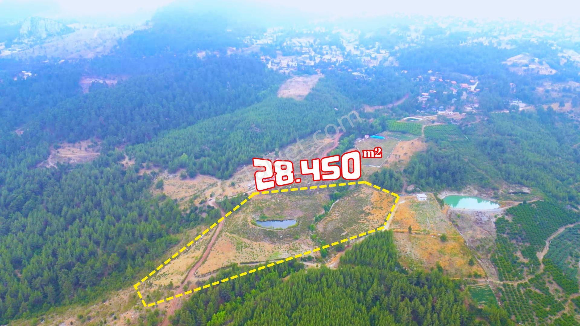 Ayvagediği'nde Fırsat! Müstakil Tapulu, İmar Potansiyelli Tarla