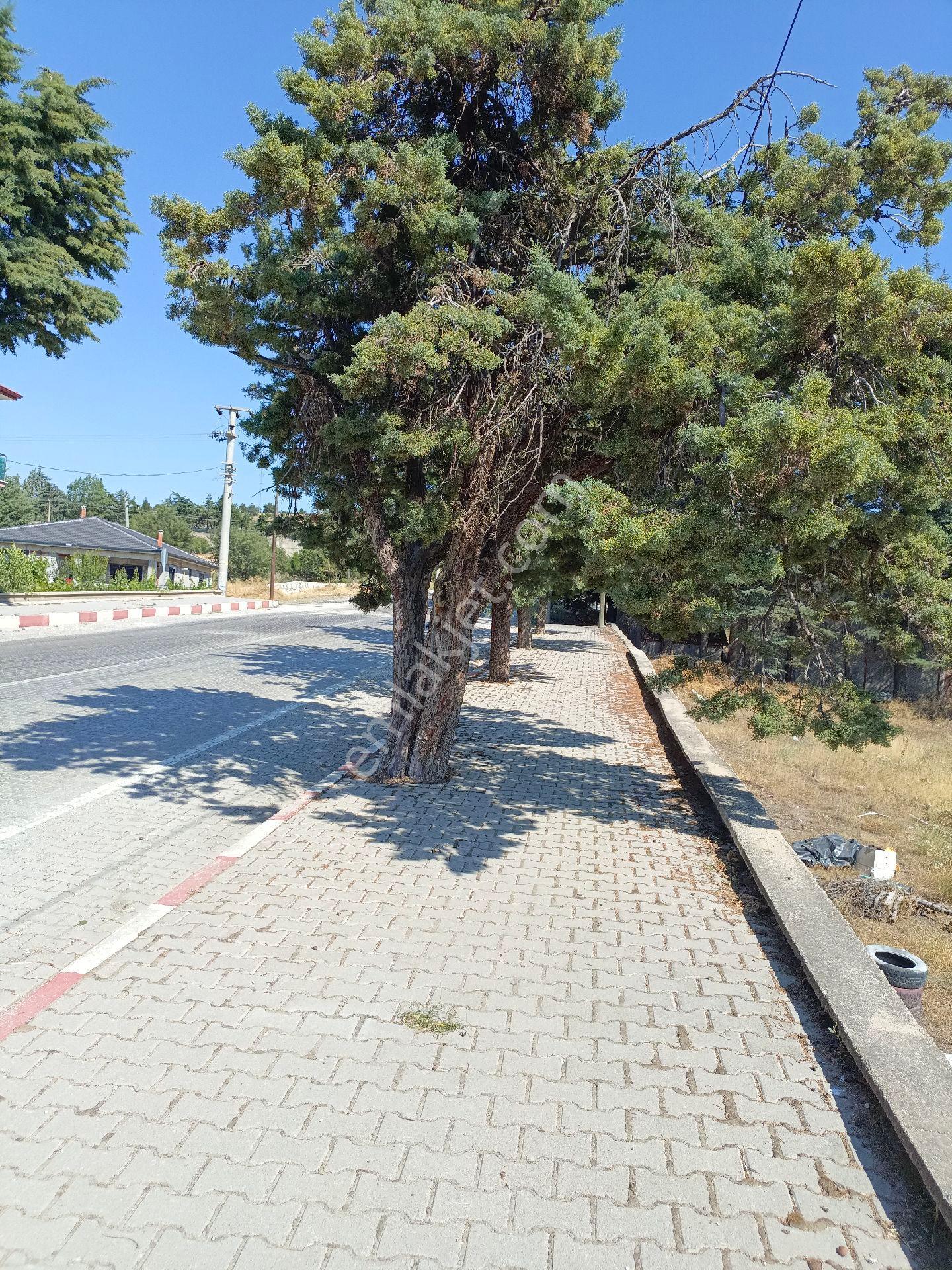 Fiyat Düştü Yeşilova 3 Katlı Müstakil Ev - Görsel 6