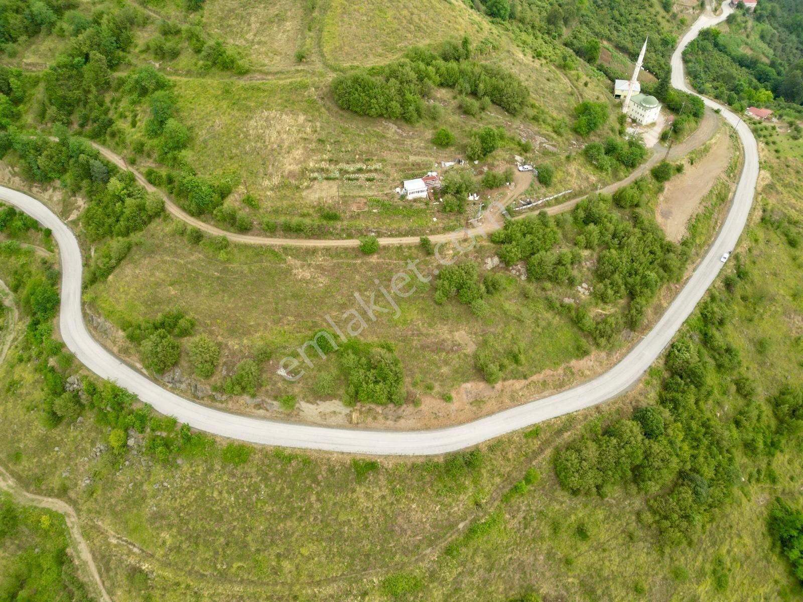 Sandı Emlak Tan Canik Alibeylide 11.900m2 Satılık Tarlamız
