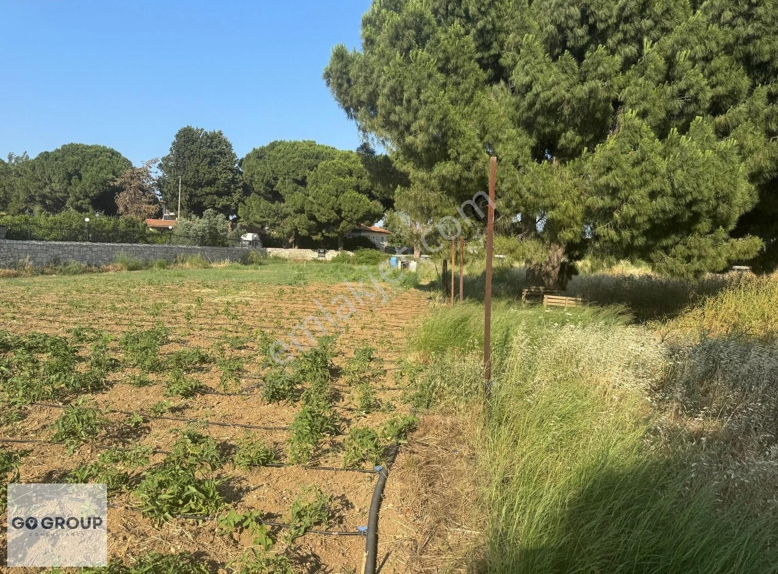 Urla İskele Ağaçlı Yolda Satılık Tarla - Görsel 9