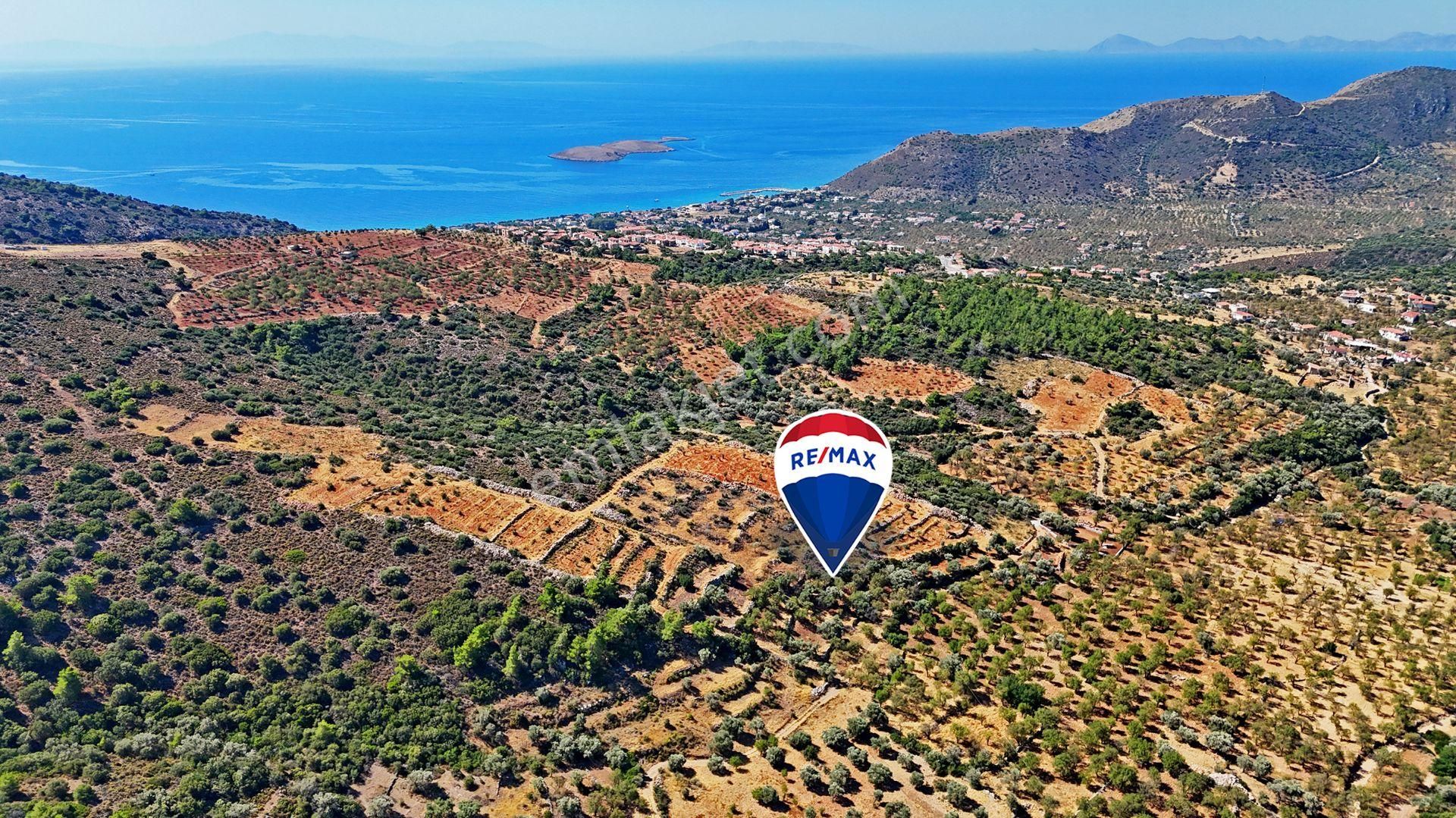 Datça Merkez Yaka Mah. 1070 M2 Yatırımlık Bademlik