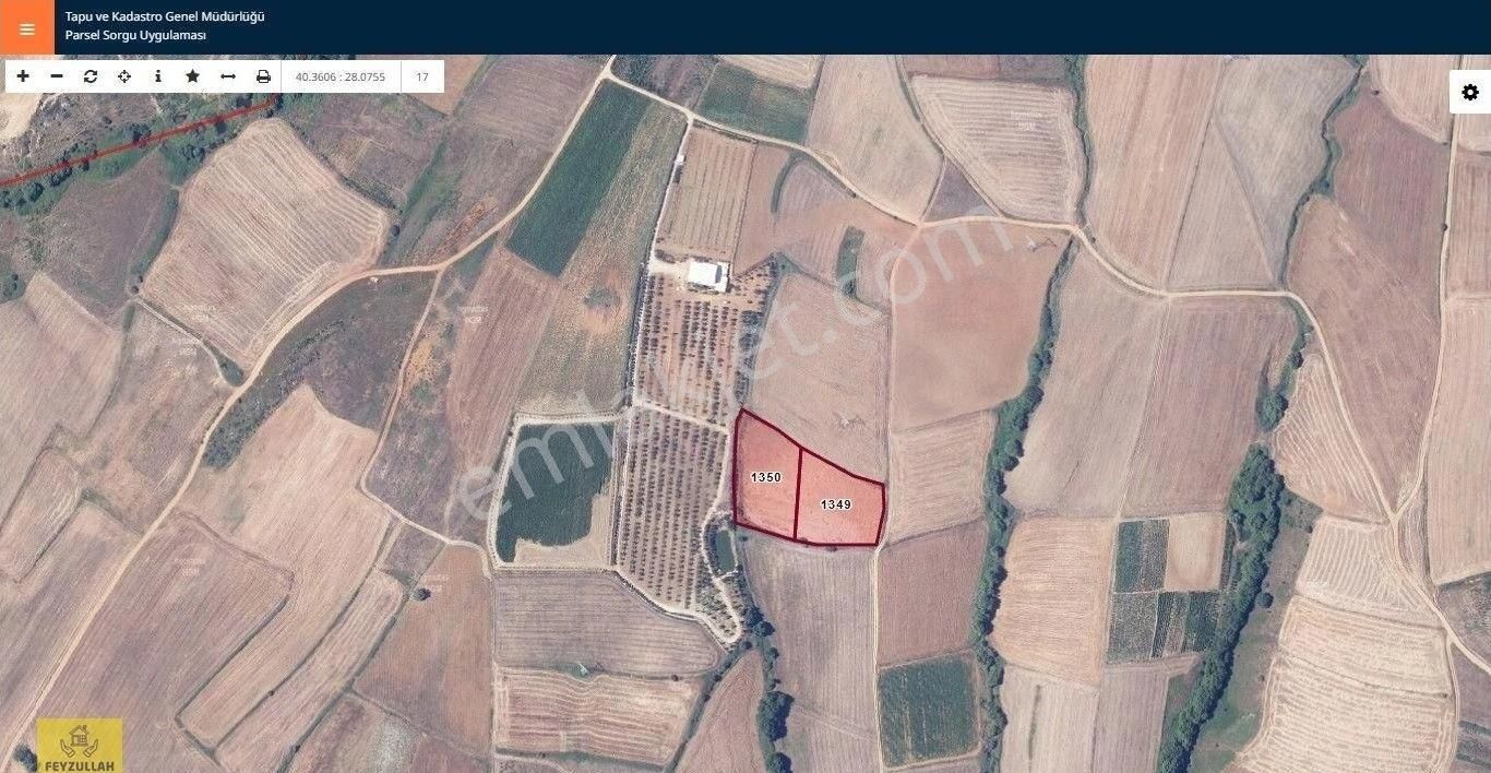 Feyzullah'tan, Erikli'de Toplam 9200 M2 Satılık Tarla