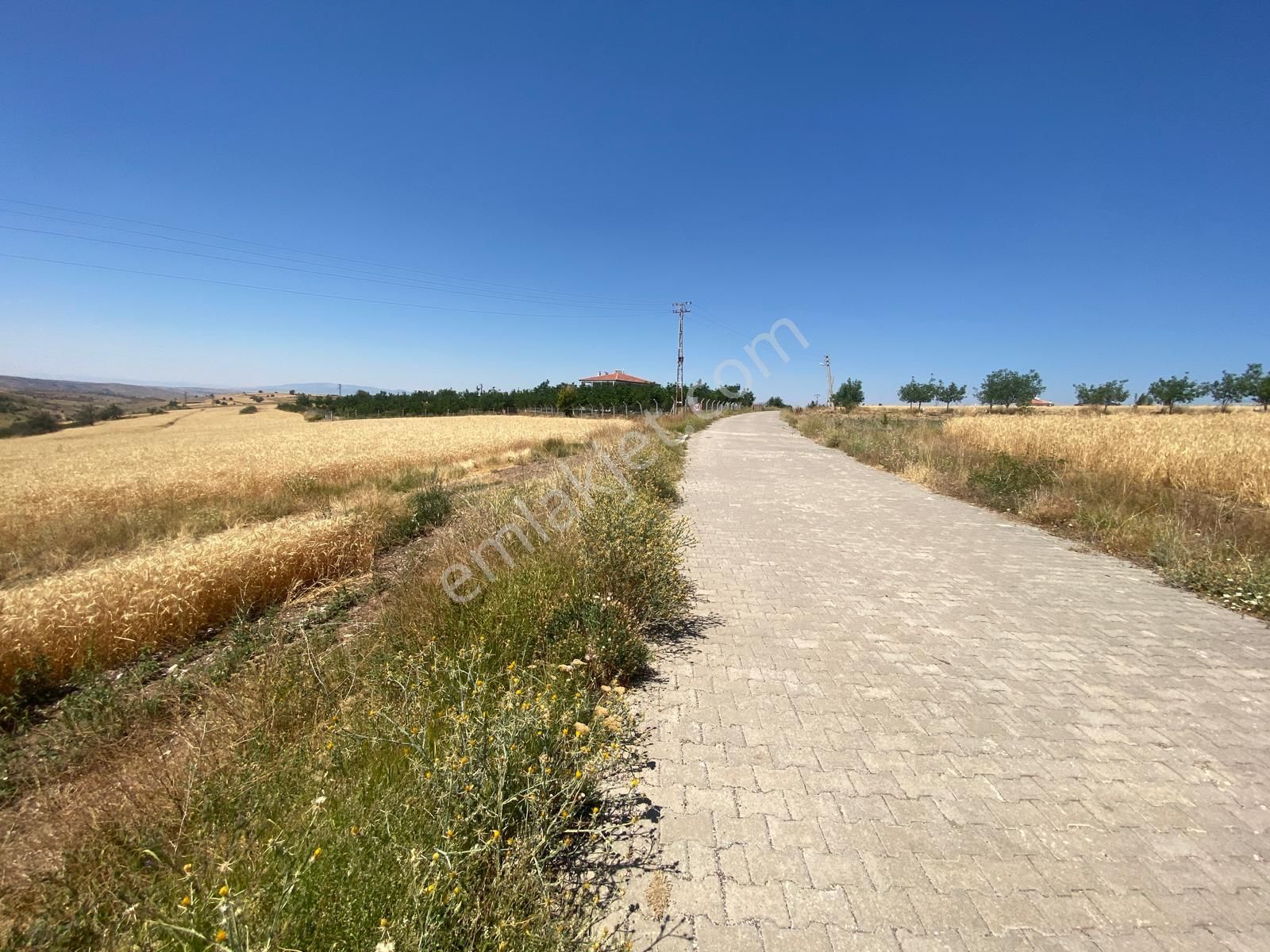 Yapraklı İkizören Köyunde Satılık Tarla