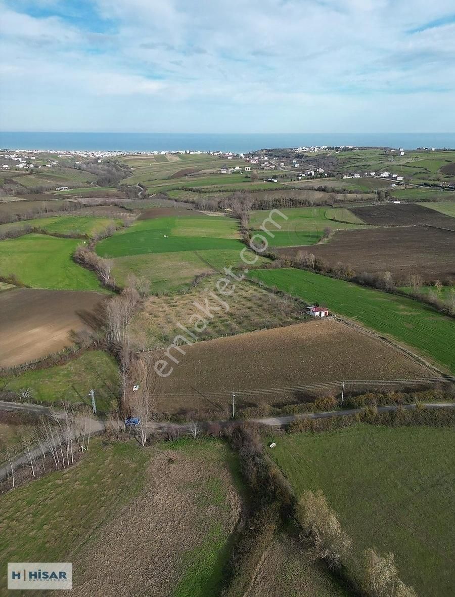 Hisar'dan Çatalçam Da Deniz Man. Yol Elktrik Ve Suyu Olan Tarla - Görsel 3