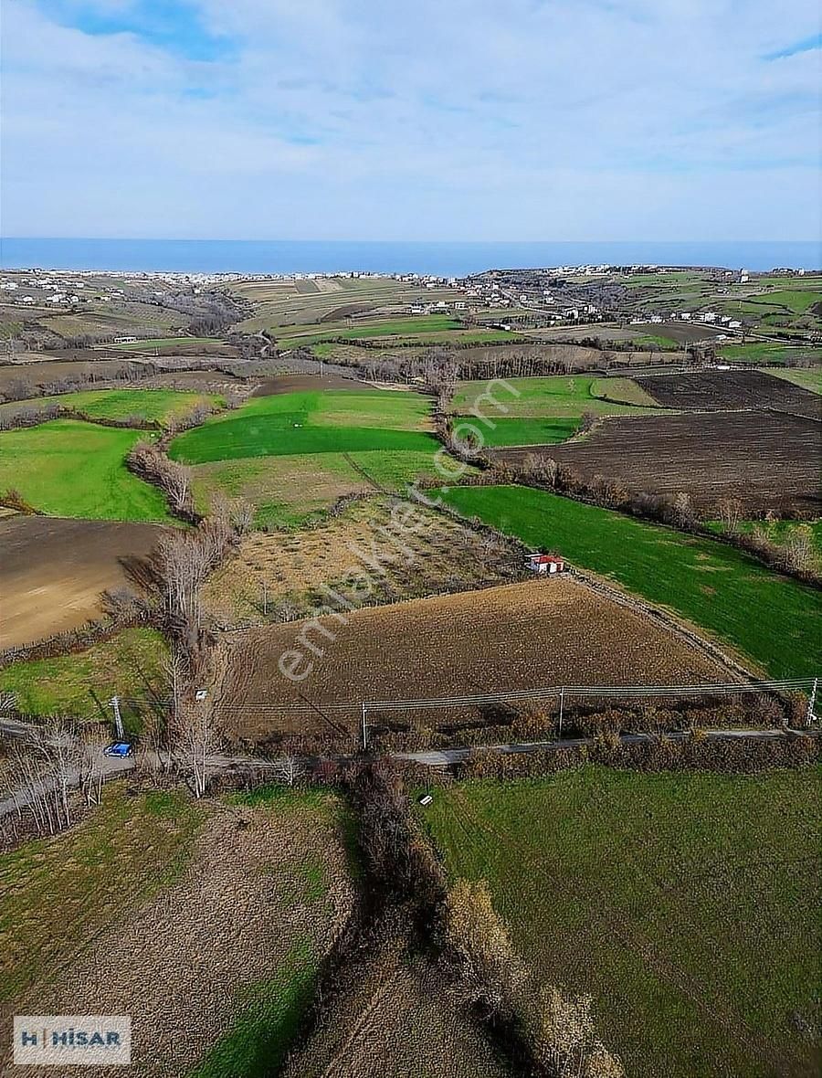 Hisar'dan Çatalçam Da Deniz Man. Yol Elktrik Ve Suyu Olan Tarla - Görsel 14