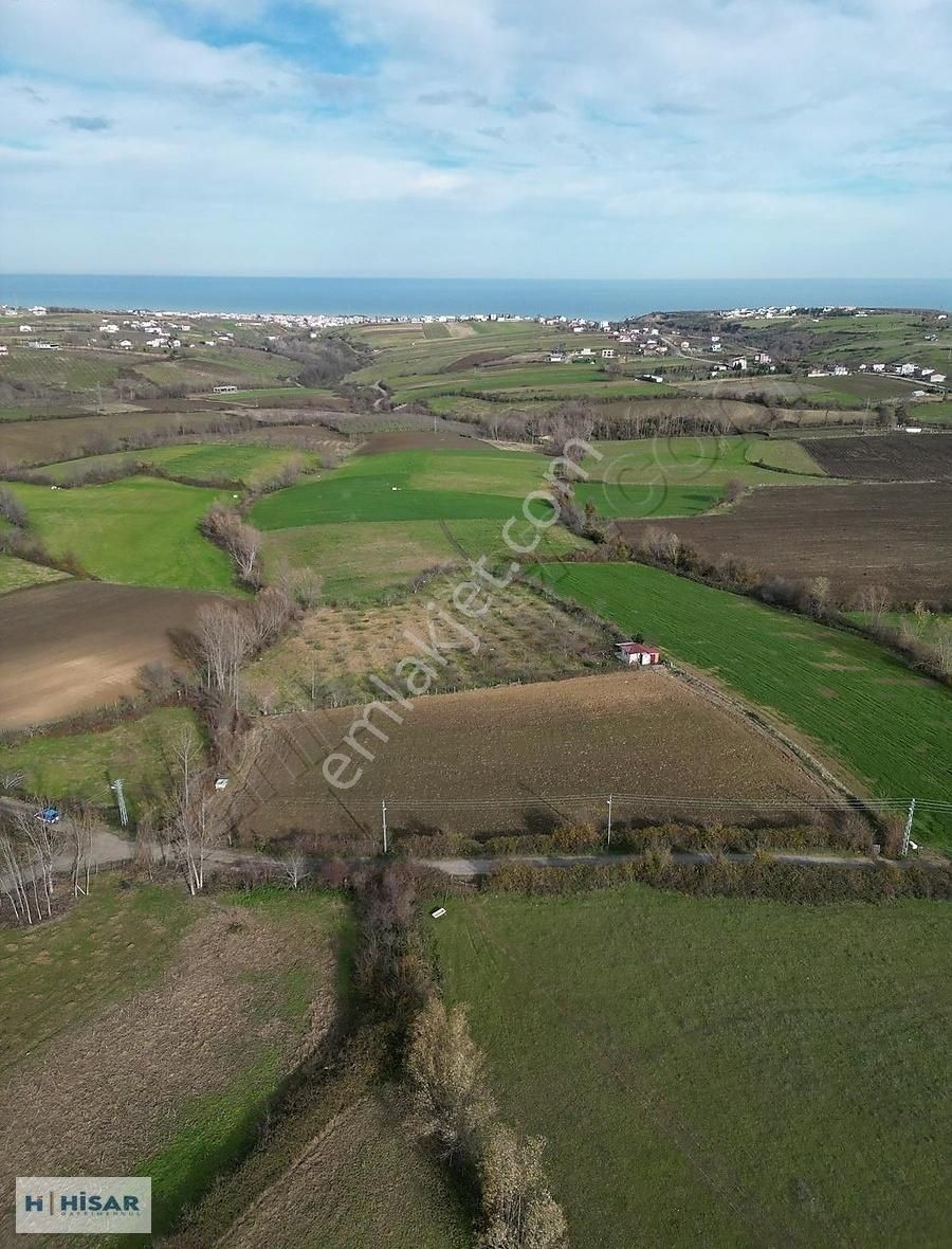 Hisar'dan Çatalçam Da Deniz Man. Yol Elktrik Ve Suyu Olan Tarla - Görsel 6