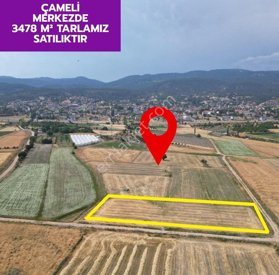 🦋lobby Fortis'ten Satılık Çameli Merkezde 3478 M² Tarla🦋