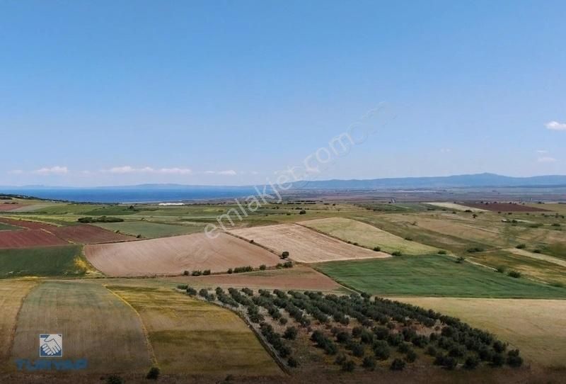 Çanakkale Karabiga Ulucami'de Zeytinlikli 7.085m2 Satılık Tarla - Görsel 4