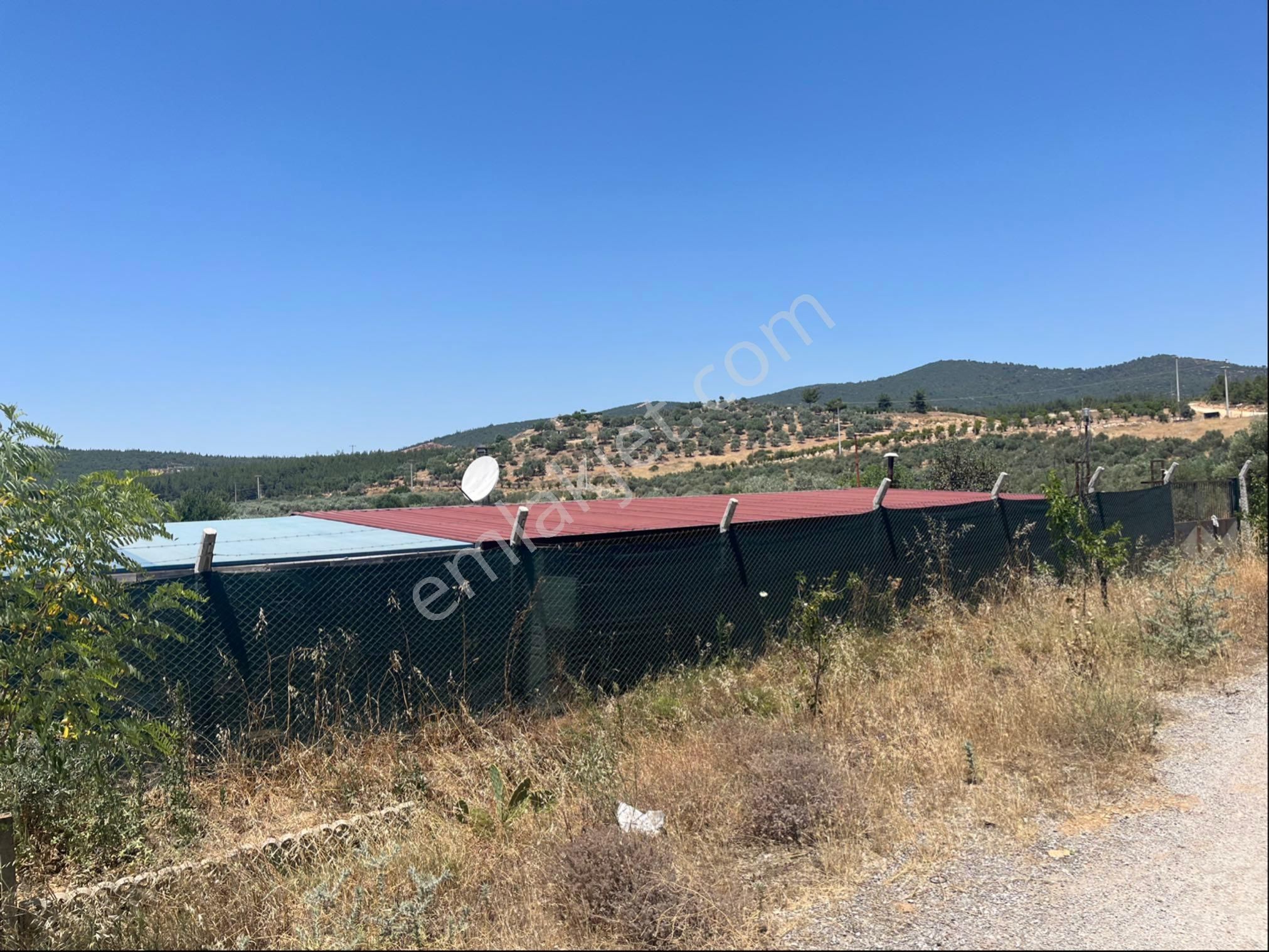 Torbalı Arslanlar Mah. 27200m2 Müstakil Satılık Zeytinlik - Görsel 19