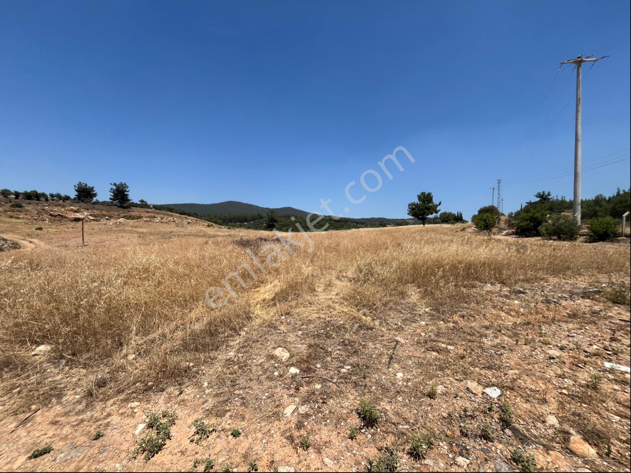 Torbalı Arslanlar Mah. 27200m2 Müstakil Satılık Zeytinlik - Görsel 24