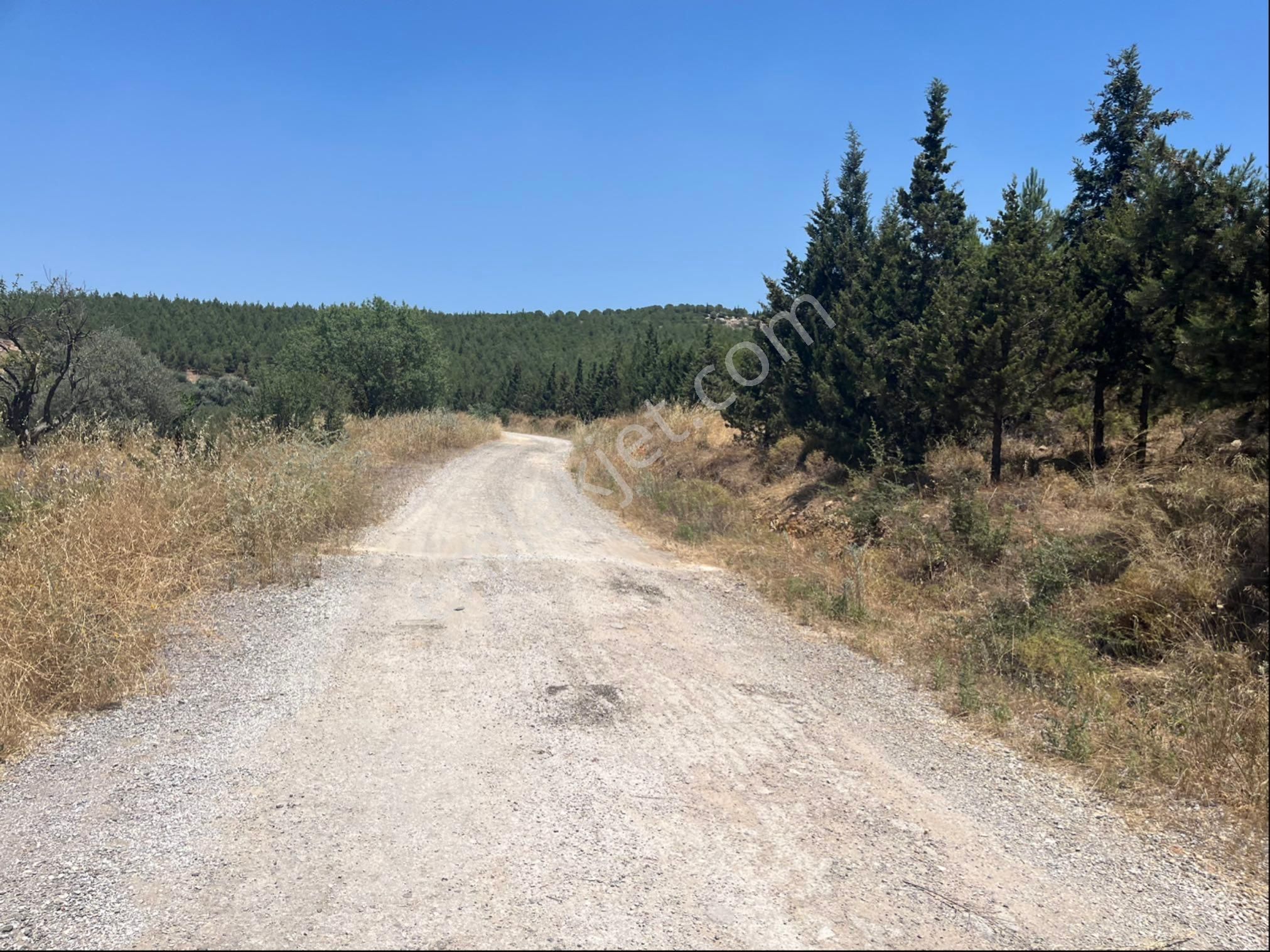 Torbalı Arslanlar Mah. 27200m2 Müstakil Satılık Zeytinlik - Görsel 23