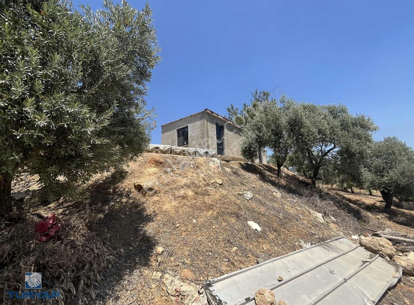 Torbalı Arslanlar Mah. 27200m2 Müstakil Satılık Zeytinlik - Görsel 6