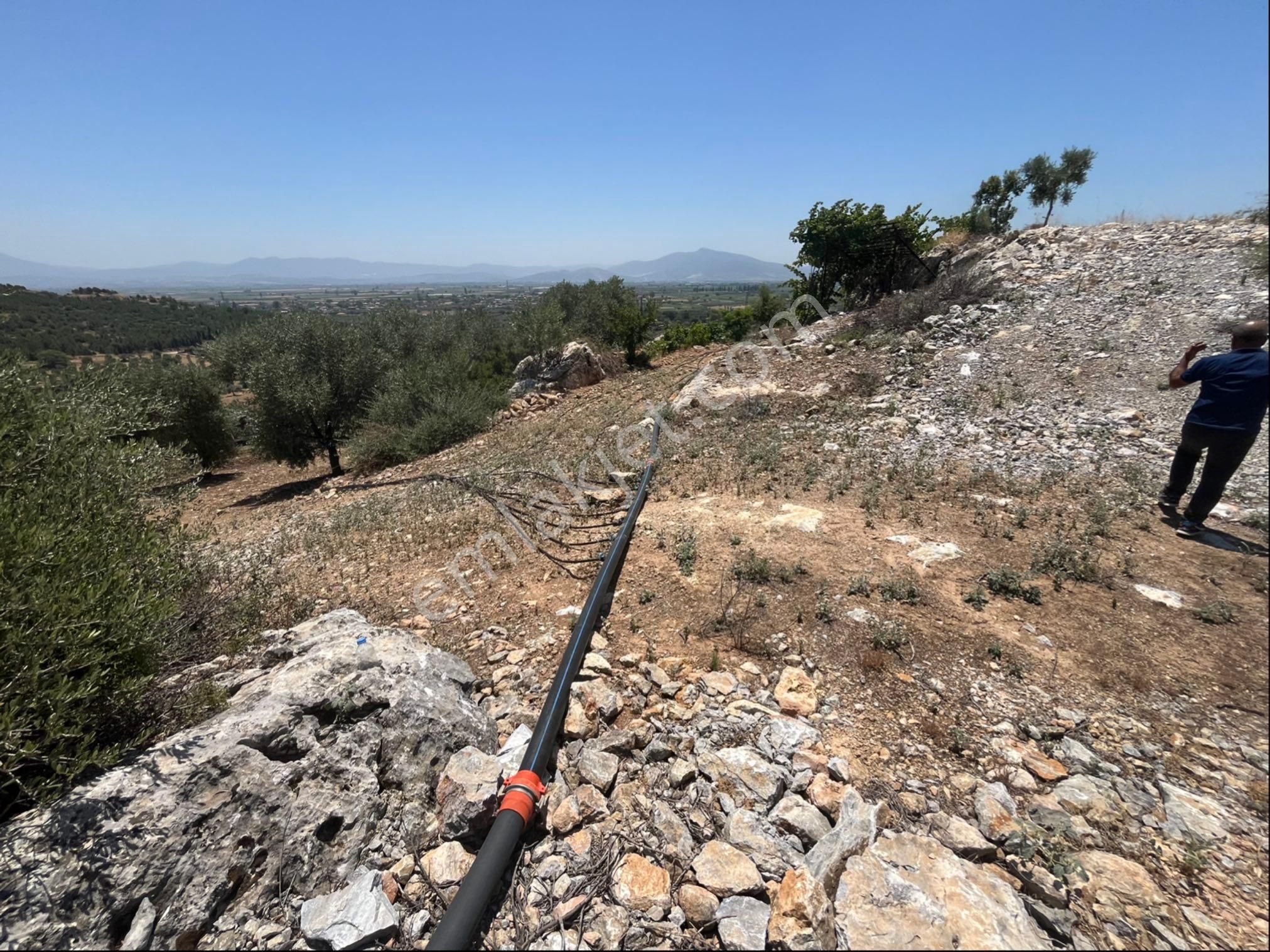 Torbalı Arslanlar Mah. 27200m2 Müstakil Satılık Zeytinlik - Görsel 27