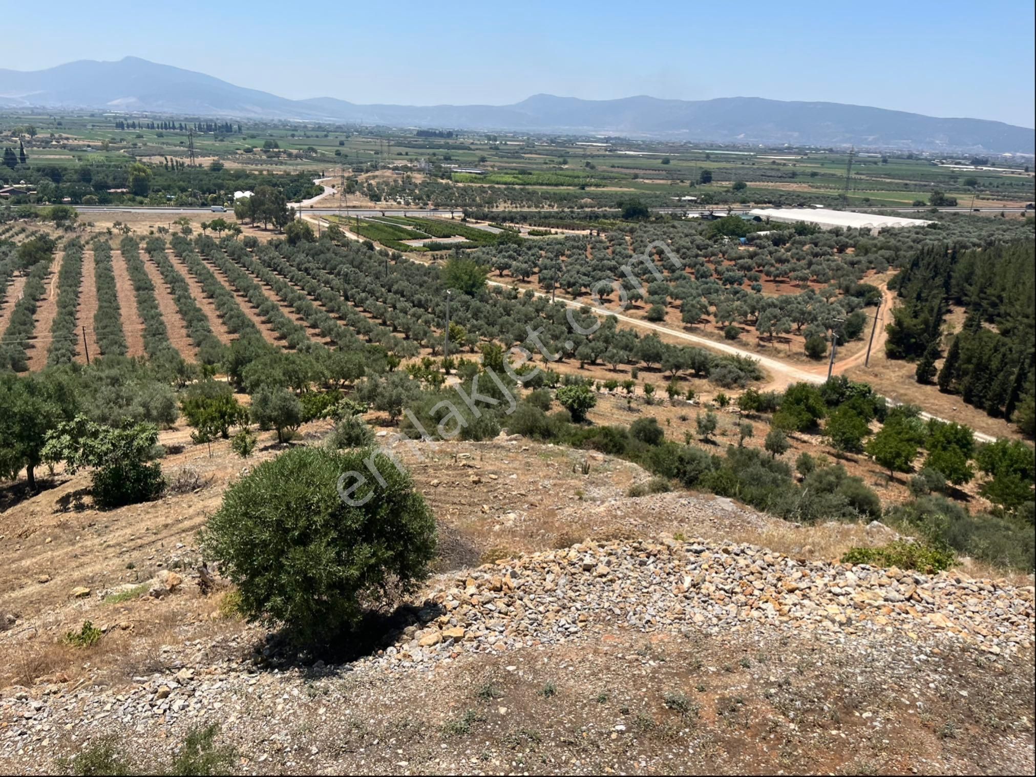 Torbalı Arslanlar Mah. 27200m2 Müstakil Satılık Zeytinlik - Görsel 15