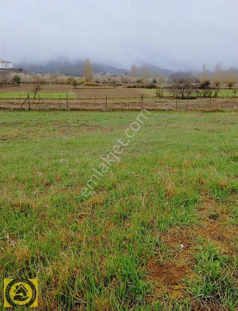 Vizyon Emlak'tan Eldivan Çay Da Elektrık+yol+su Mevcut