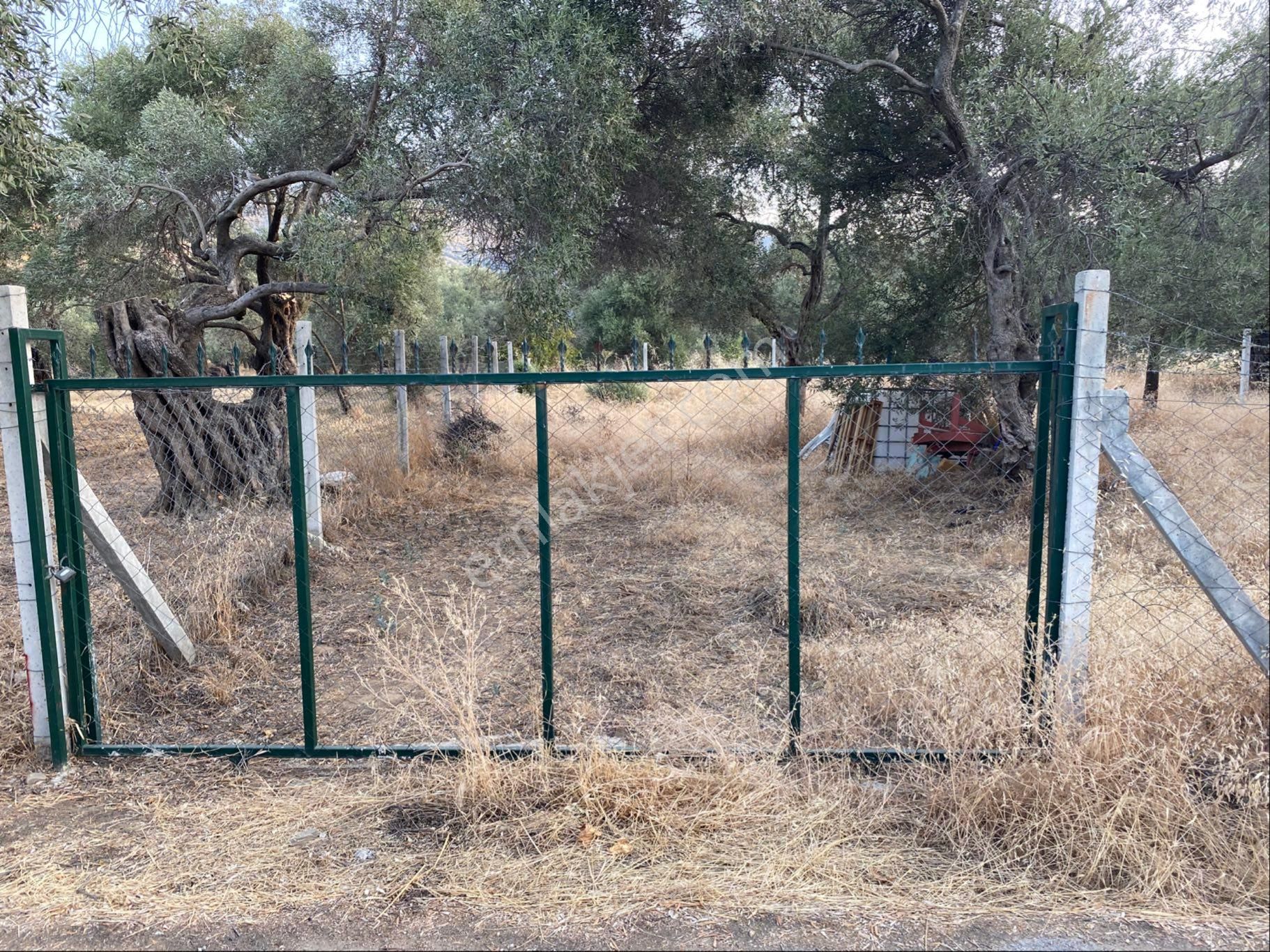 İzmir Bayındır Zeytinova Satılıkbahçe