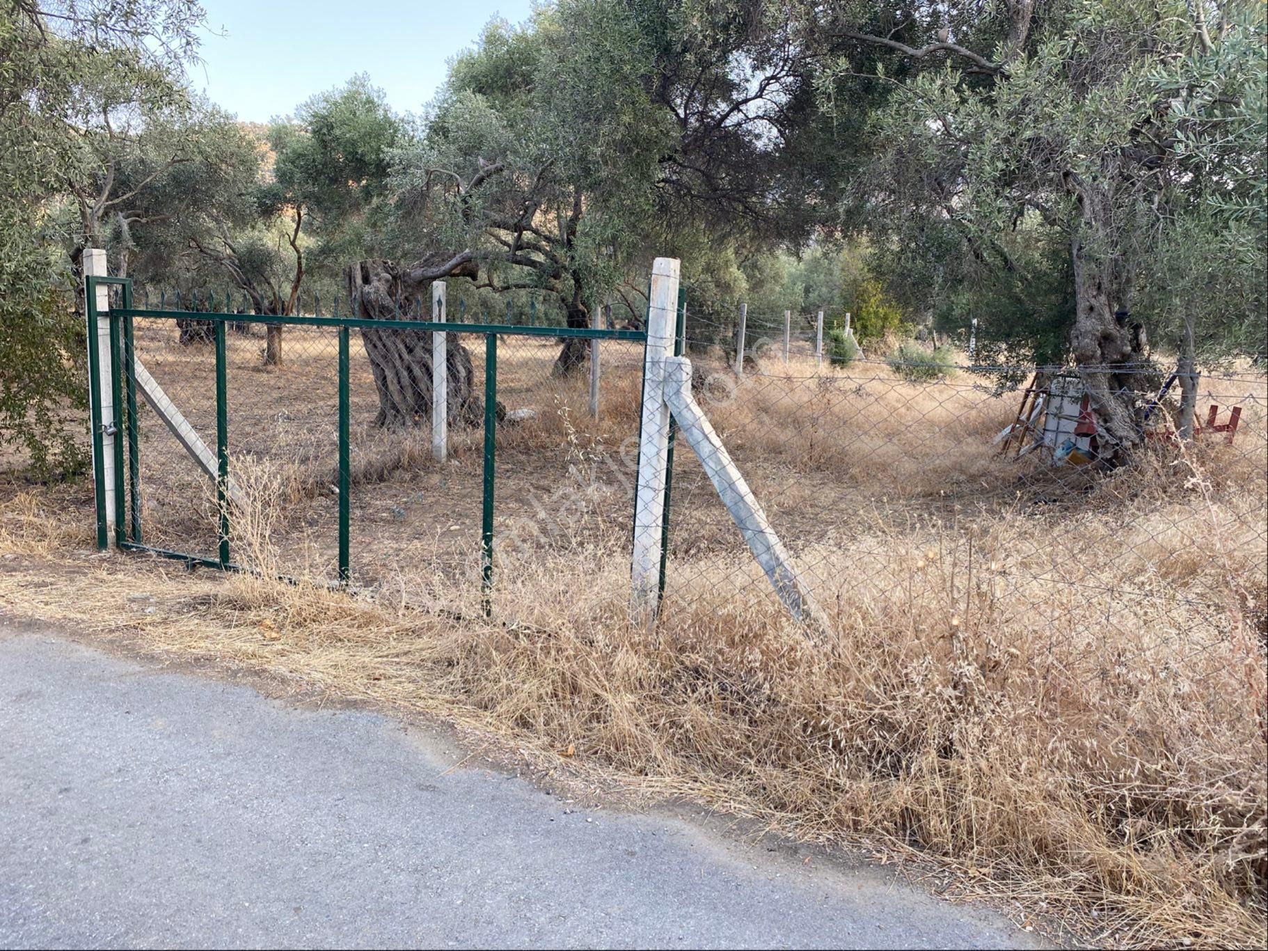 İzmir Bayındır Zeytinova Satılıkbahçe - Görsel 5