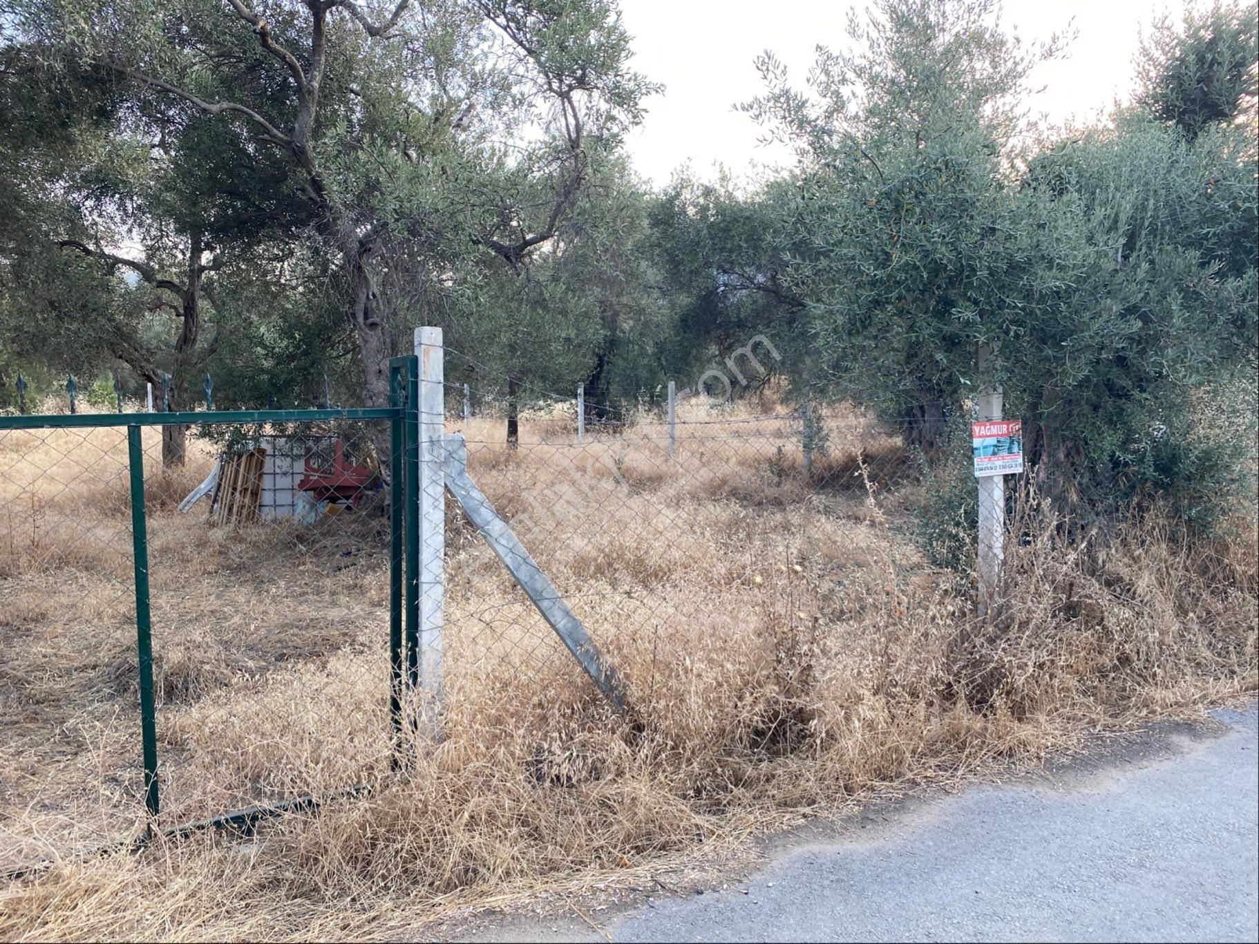 İzmir Bayındır Zeytinova Satılıkbahçe - Görsel 4