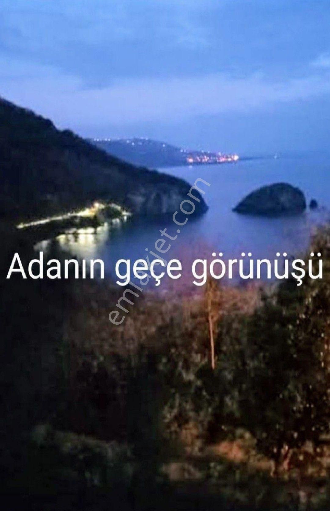 Perşembe Ramazan Mahallesi, Hoynat Bungola Evlerinin Bitişiği